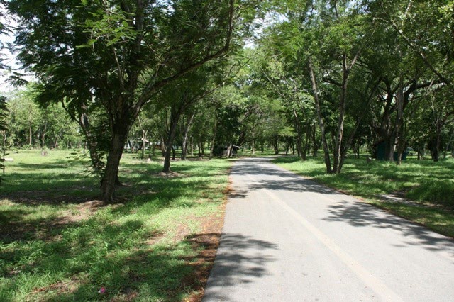 Park - Bhuddamonton