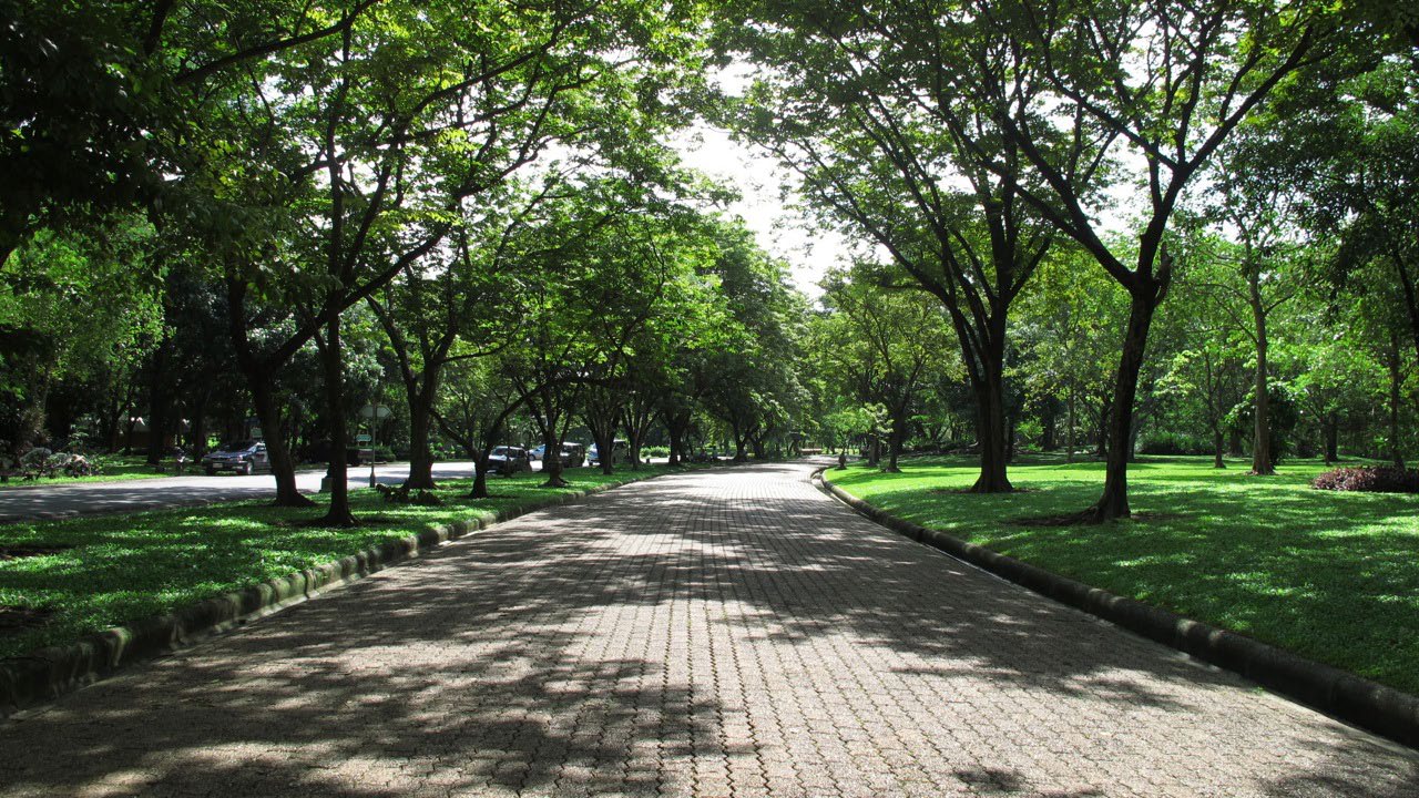 Park - Bhuddamonton