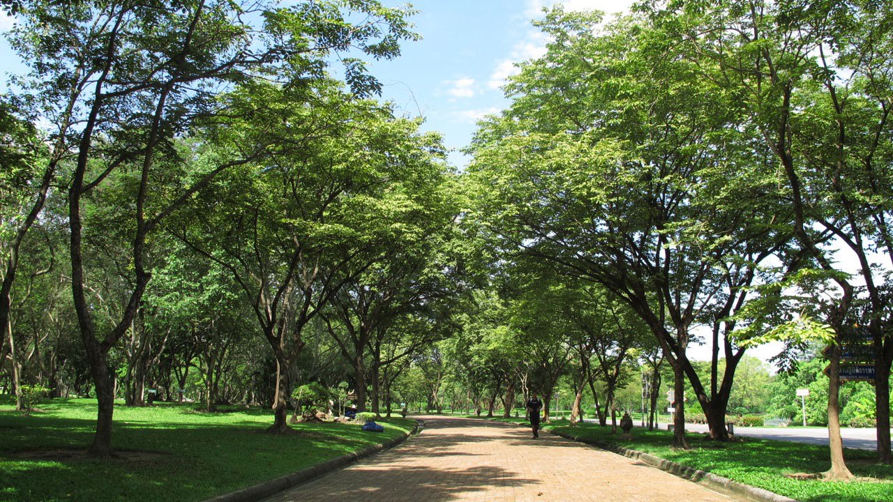 Park - Bhuddamonton