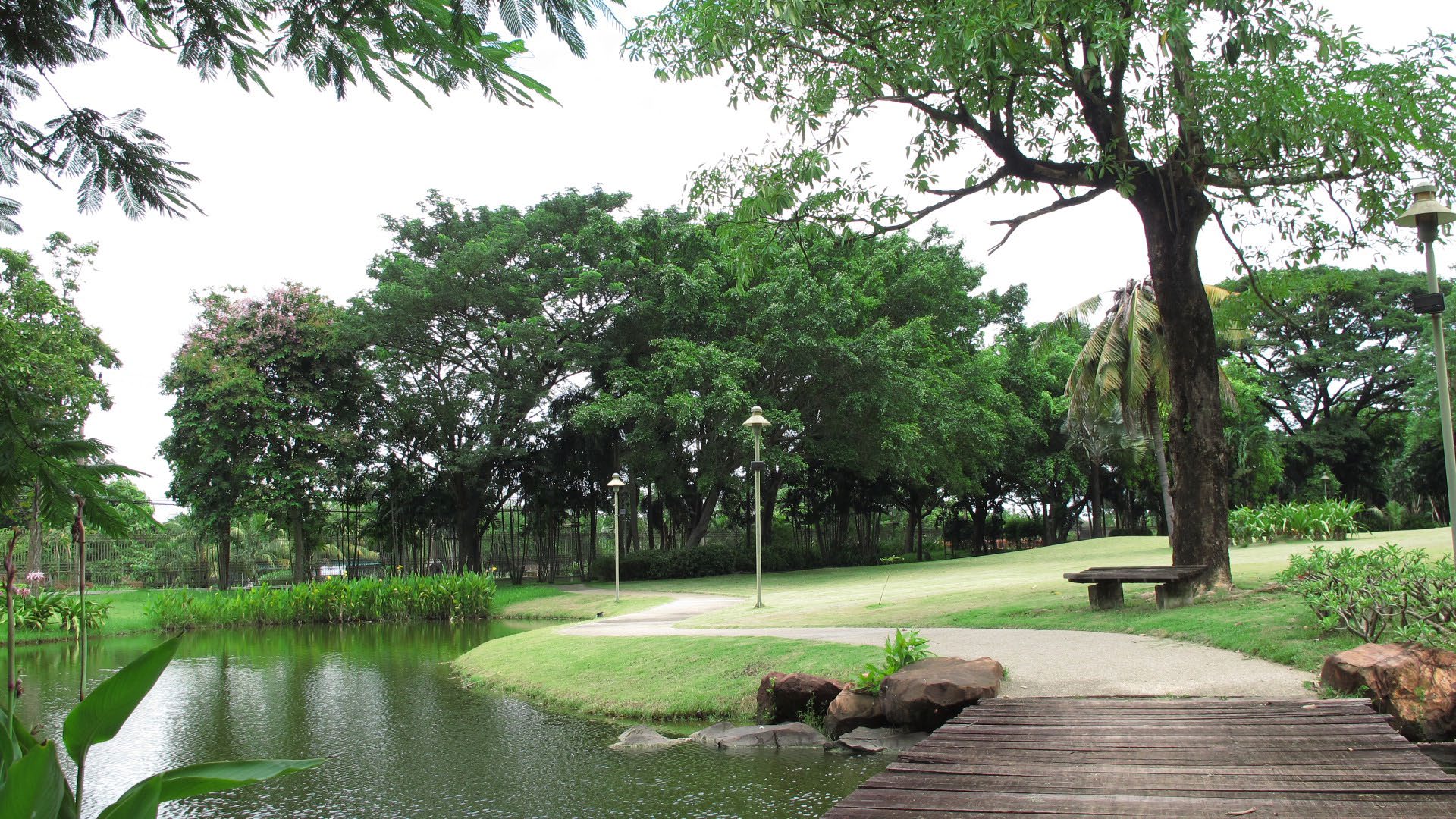 Park option 2  Saransiri Village Park