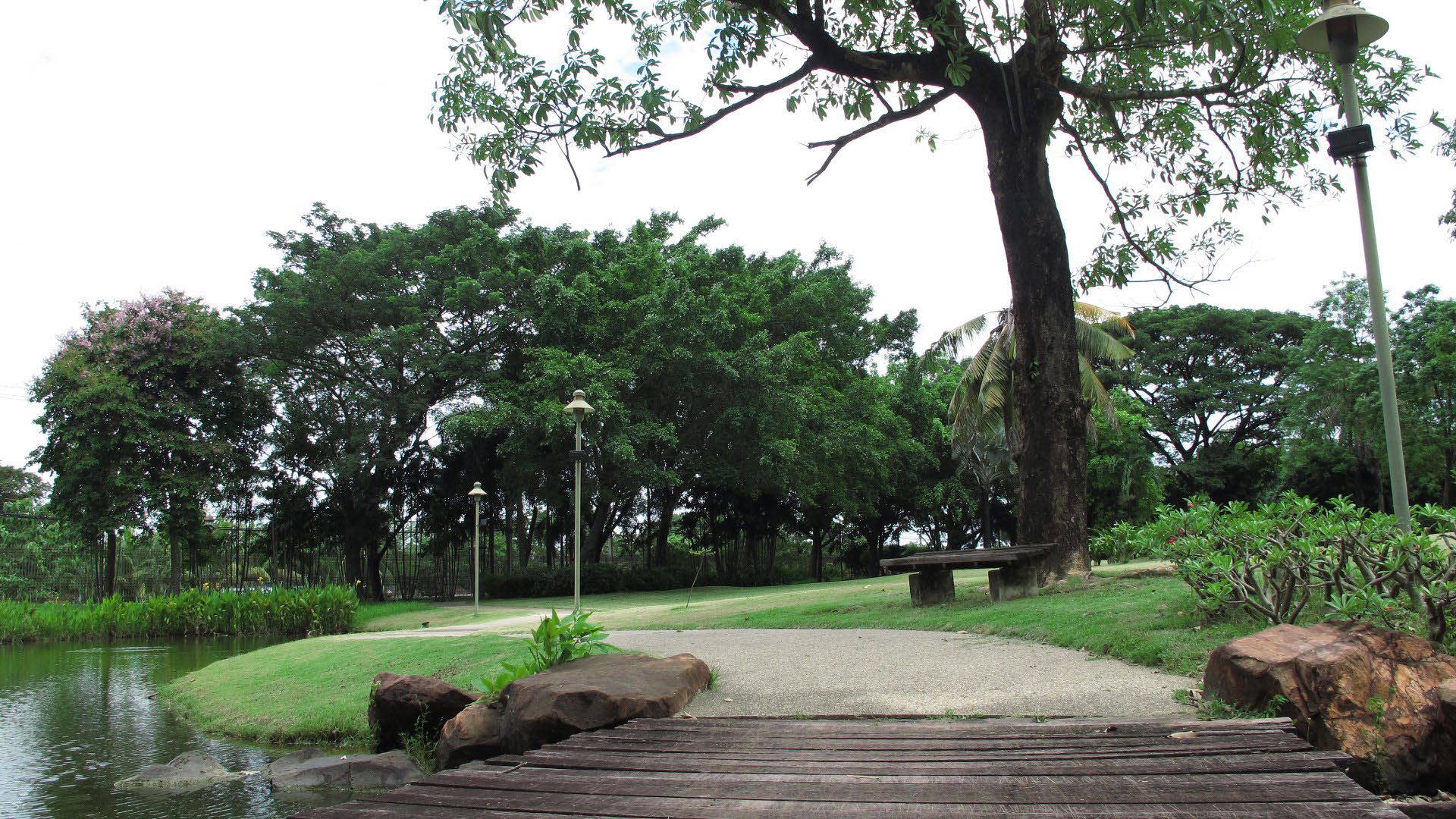 Park option 2  Saransiri Village Park