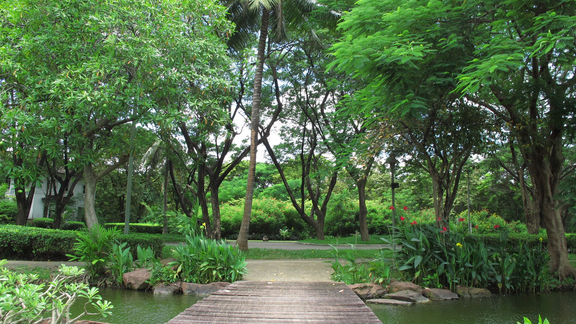 Park option 2  Saransiri Village Park