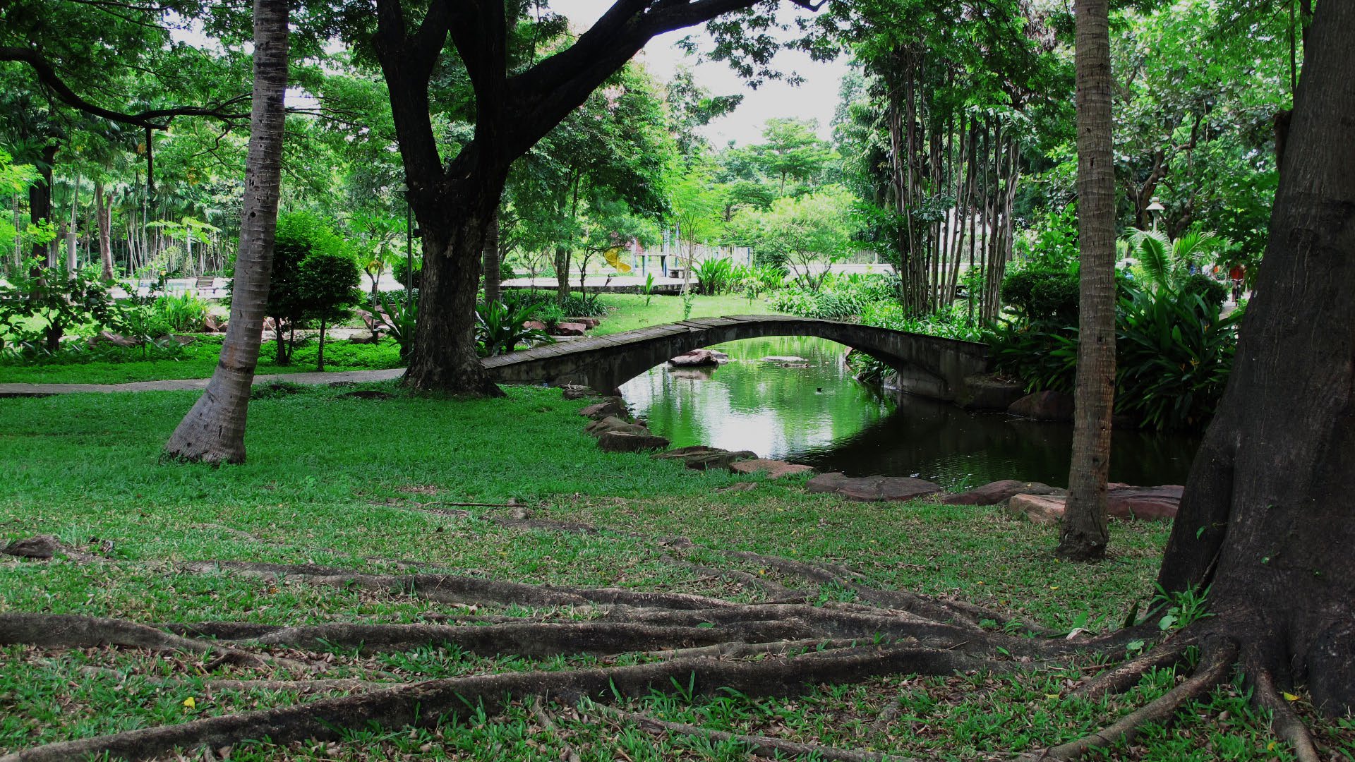 Park option 2  Saransiri Village Park