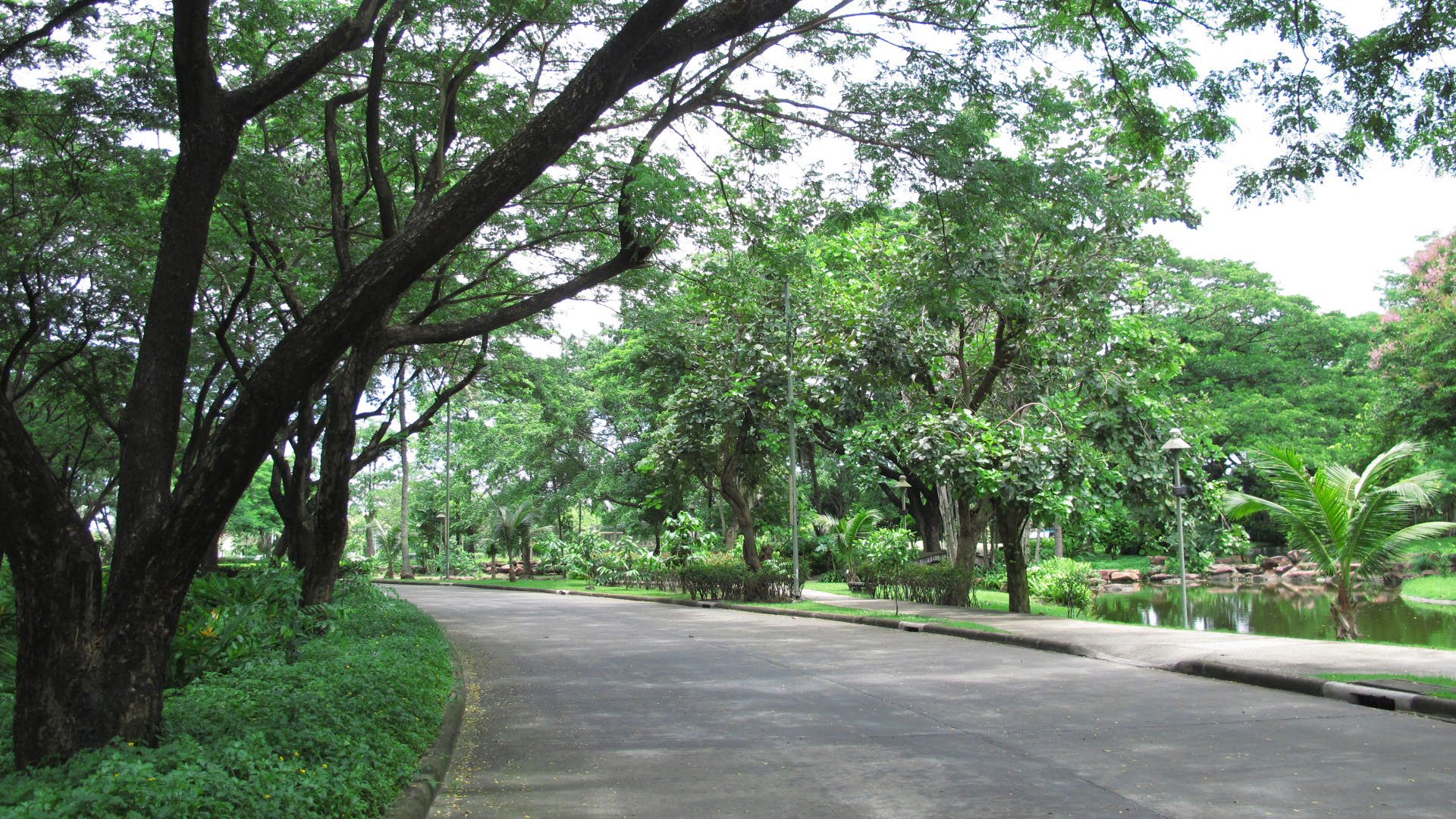 Park option 2  Saransiri Village Park