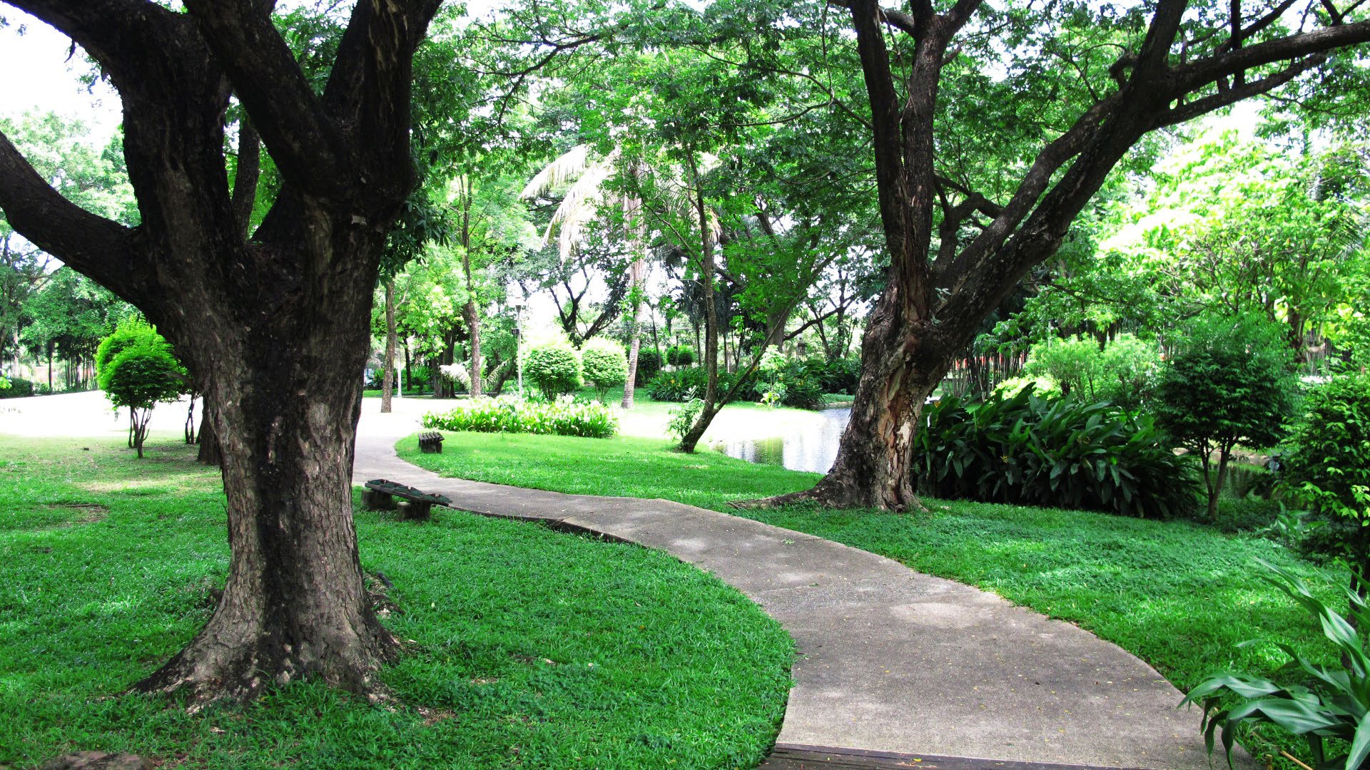 Park option 2  Saransiri Village Park
