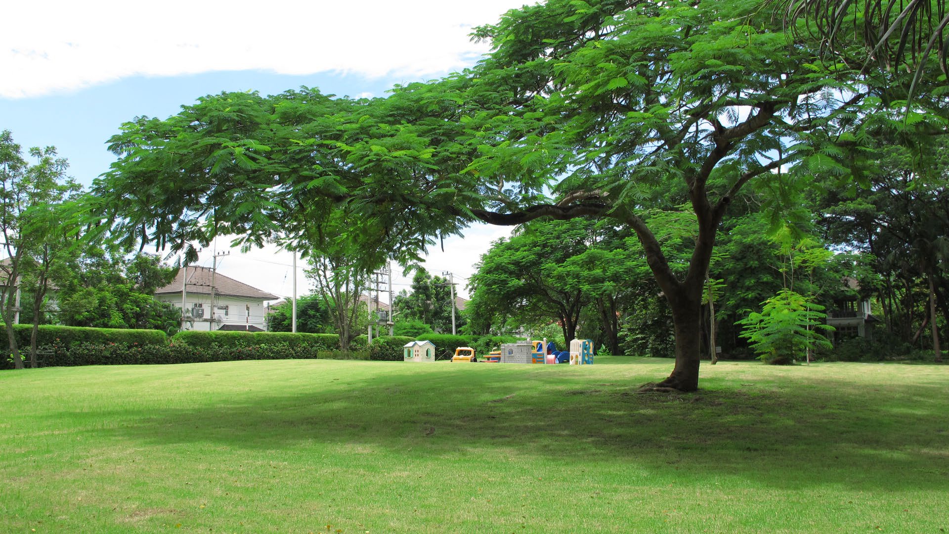 Park option 2  Saransiri Village Park