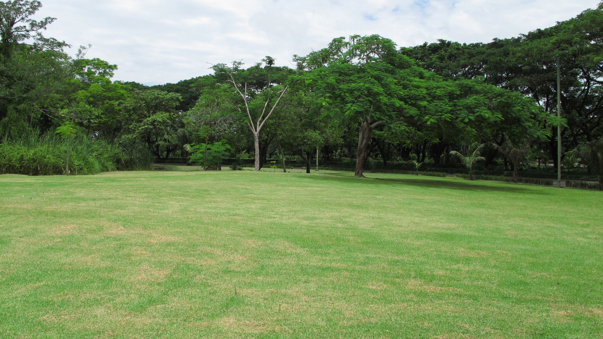 Park option 2  Saransiri Village Park
