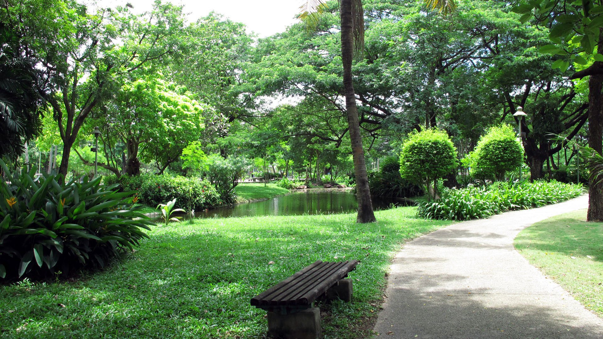Park option 2  Saransiri Village Park