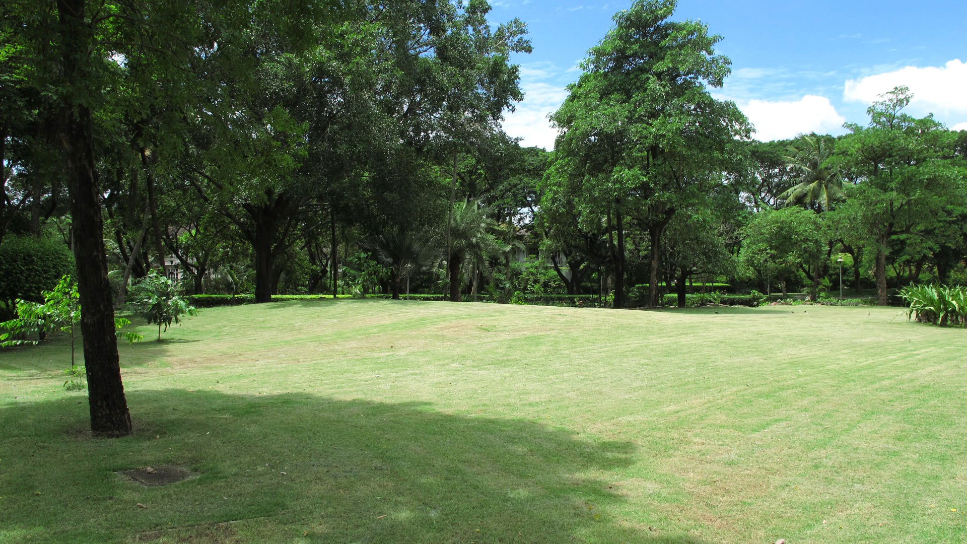 Park option 2  Saransiri Village Park