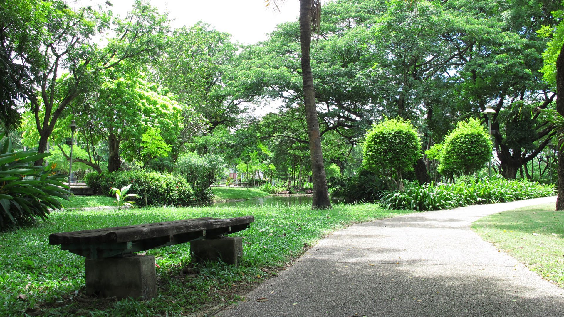 Park option 2  Saransiri Village Park