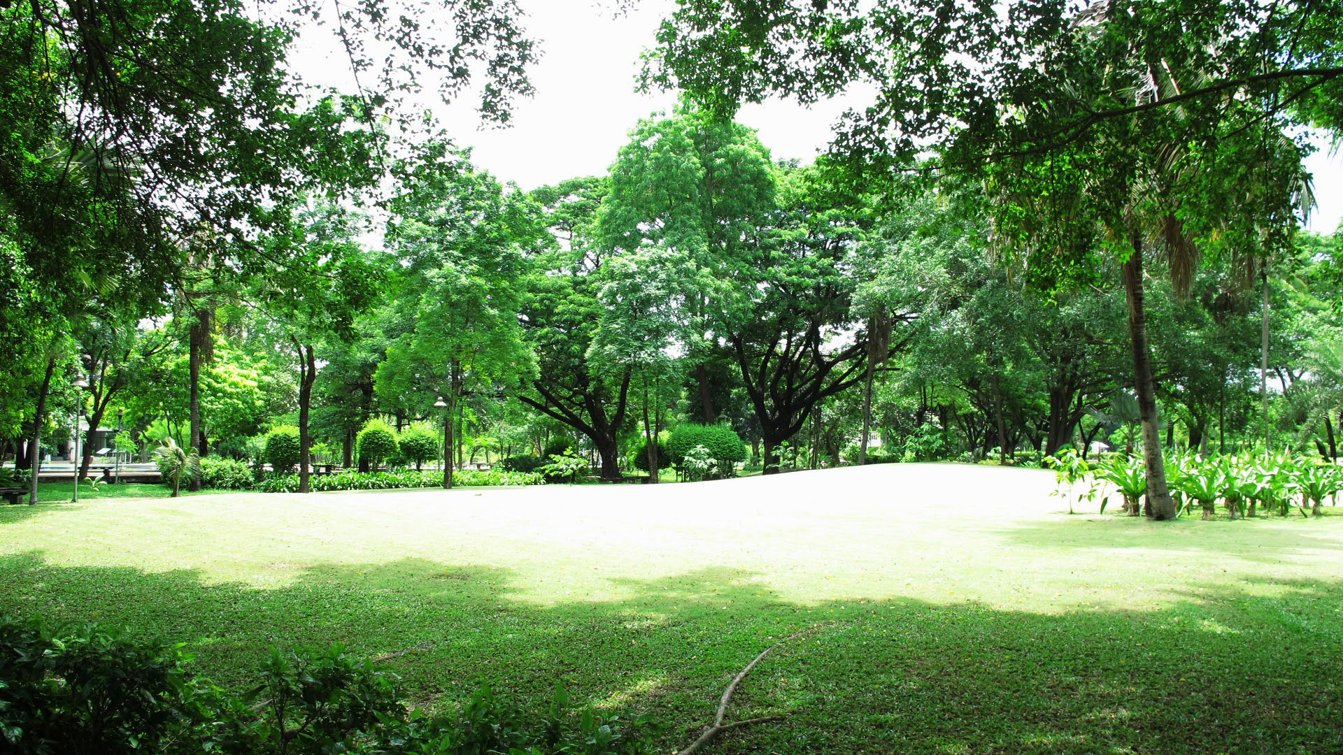 Park option 2  Saransiri Village Park
