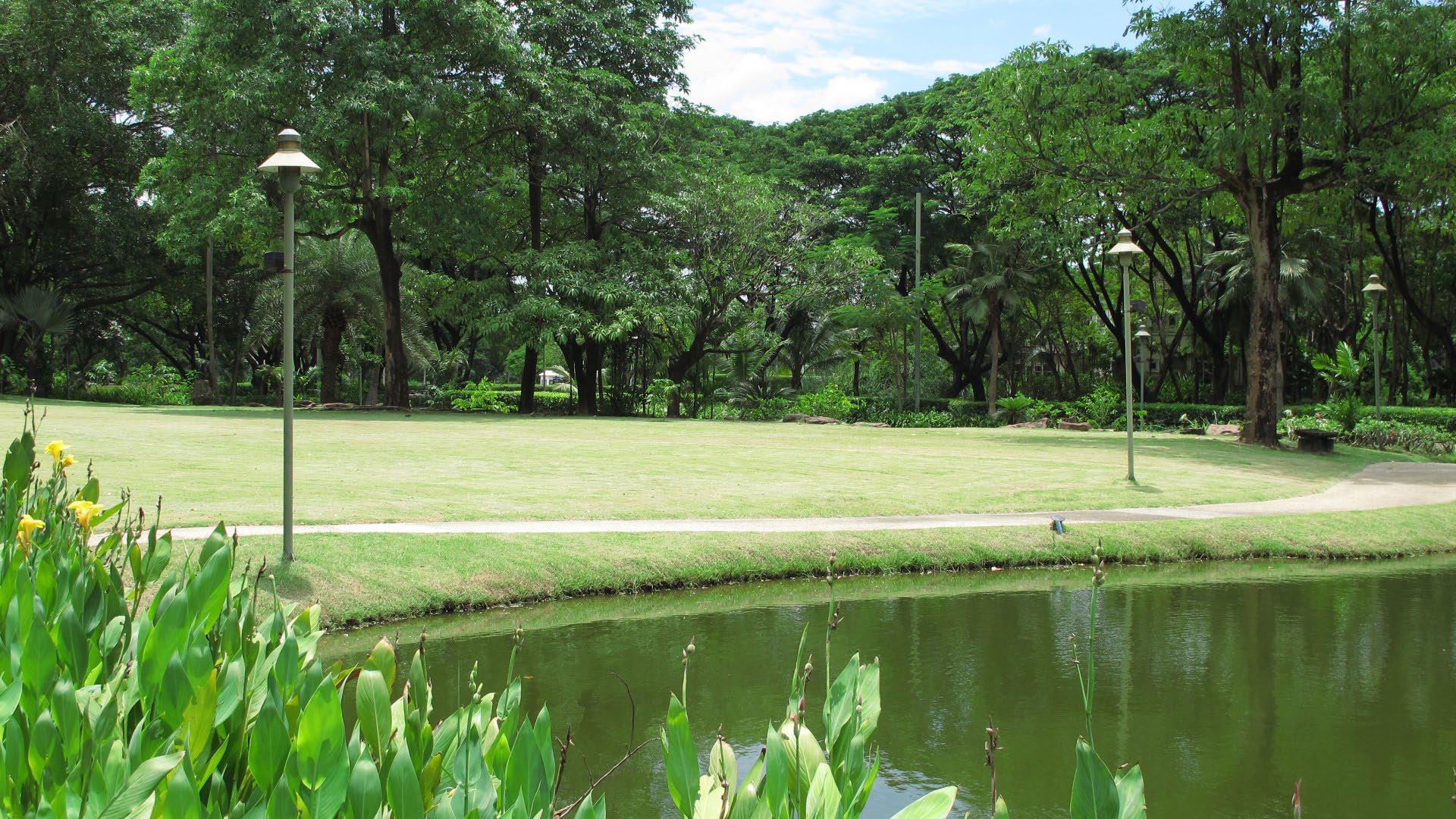 Park option 2  Saransiri Village Park
