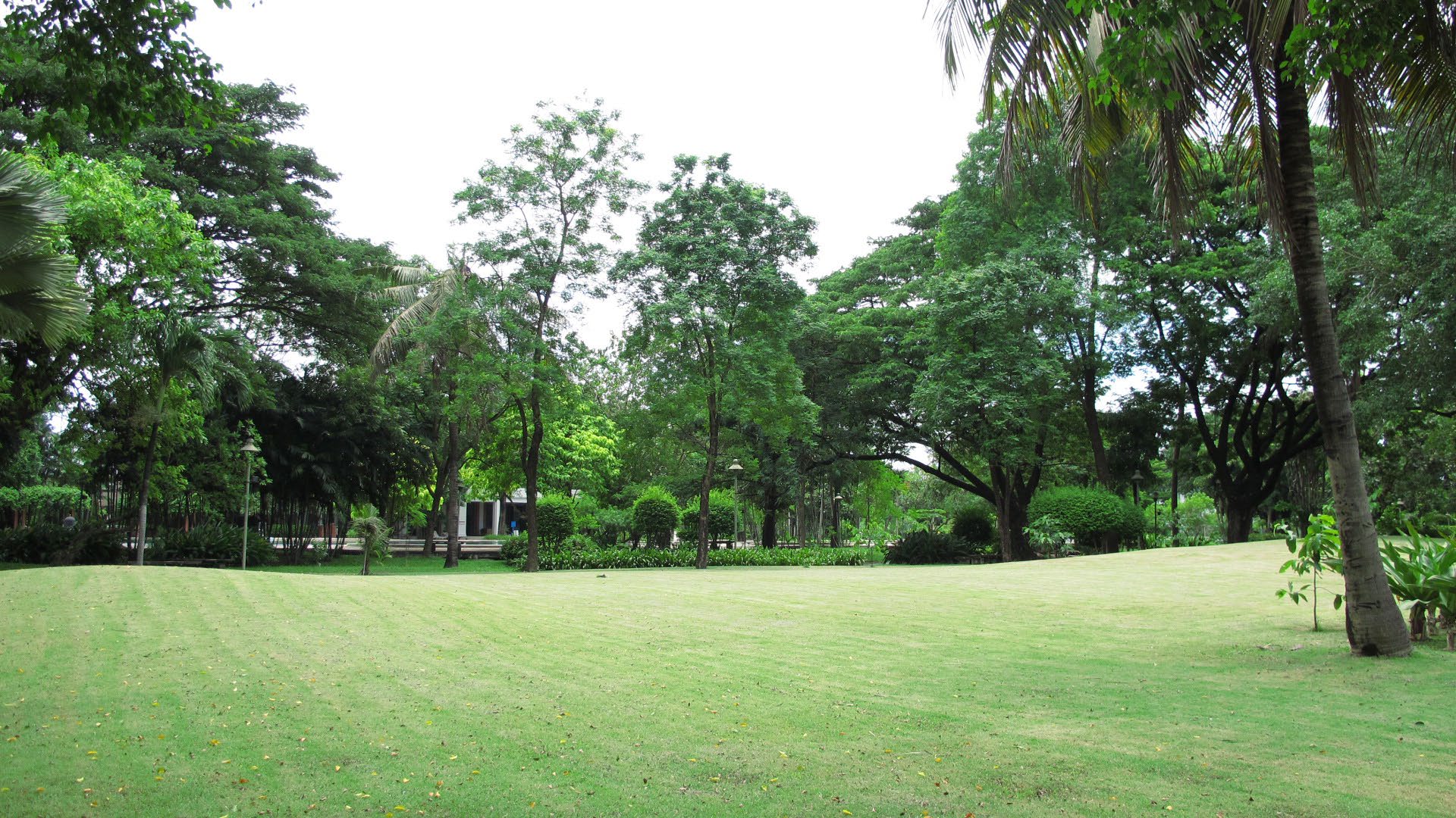 Park option 2  Saransiri Village Park