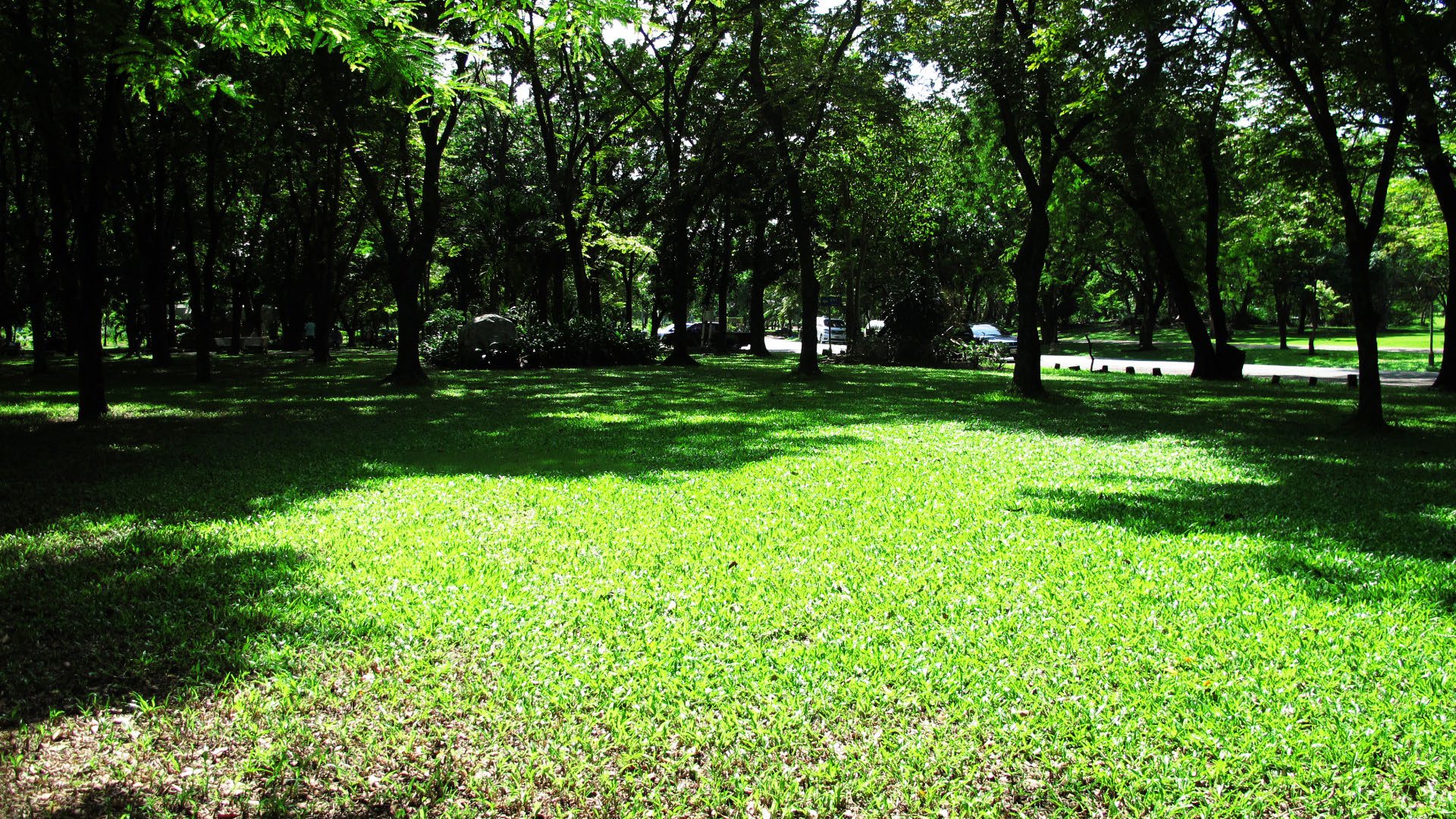 Park option 3  Bhuddamonton