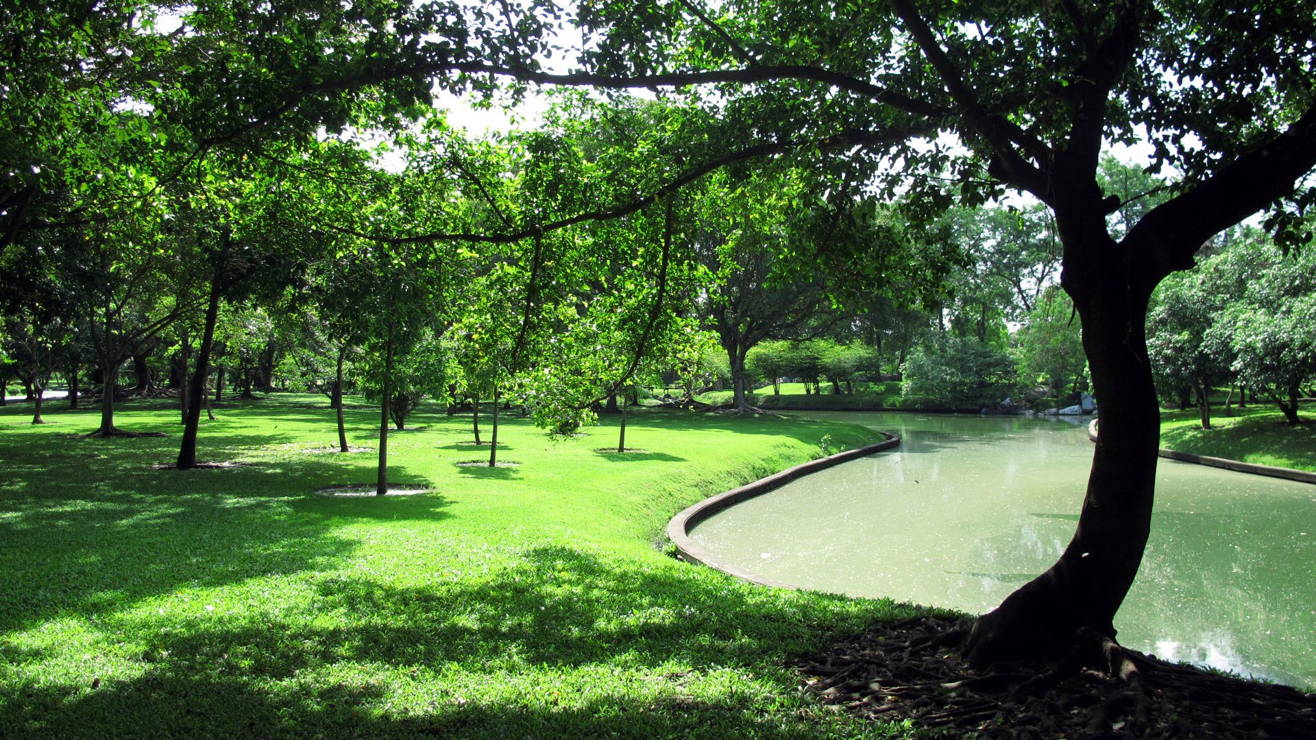 Park option 3  Bhuddamonton