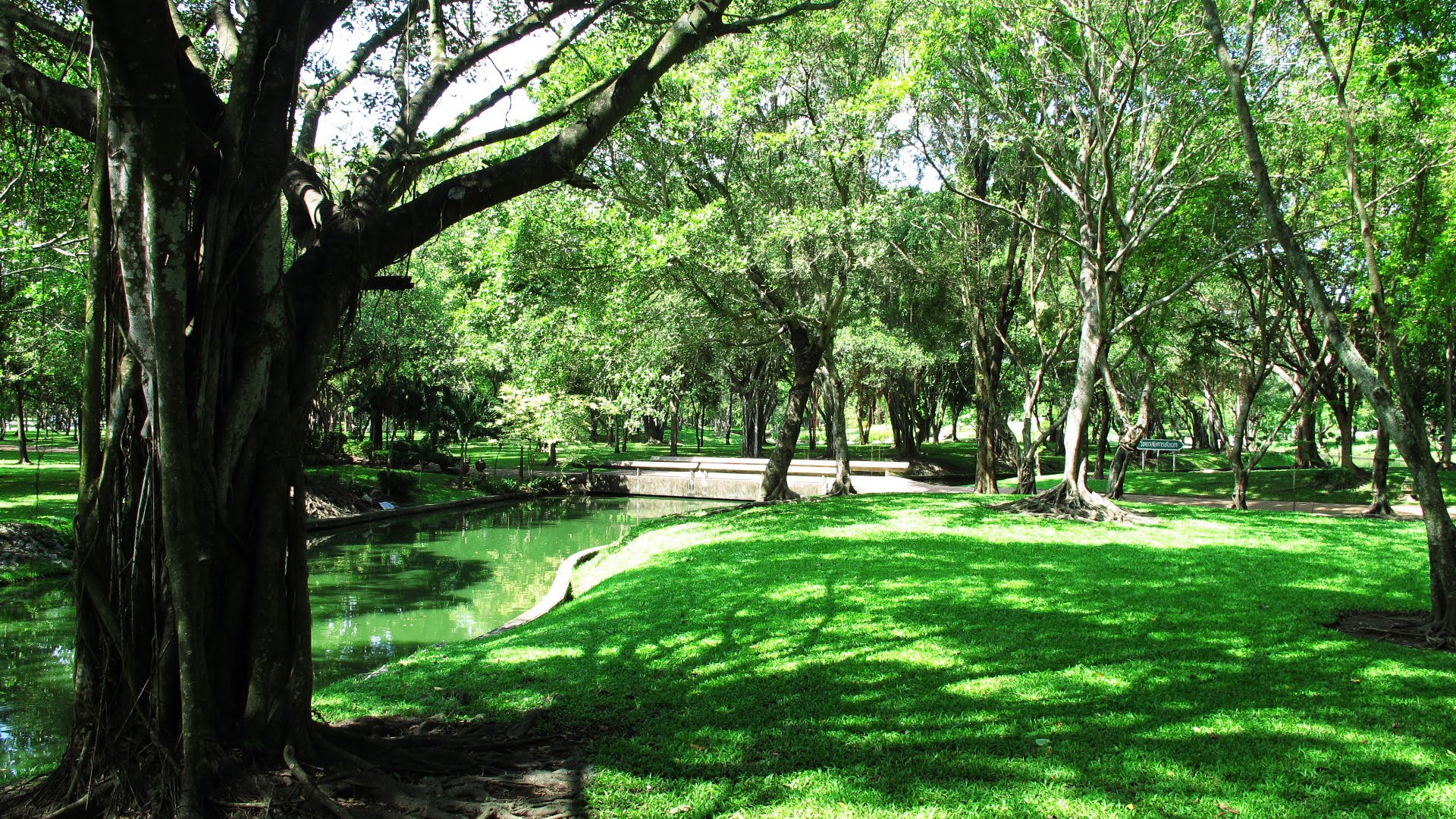 Park option 3  Bhuddamonton