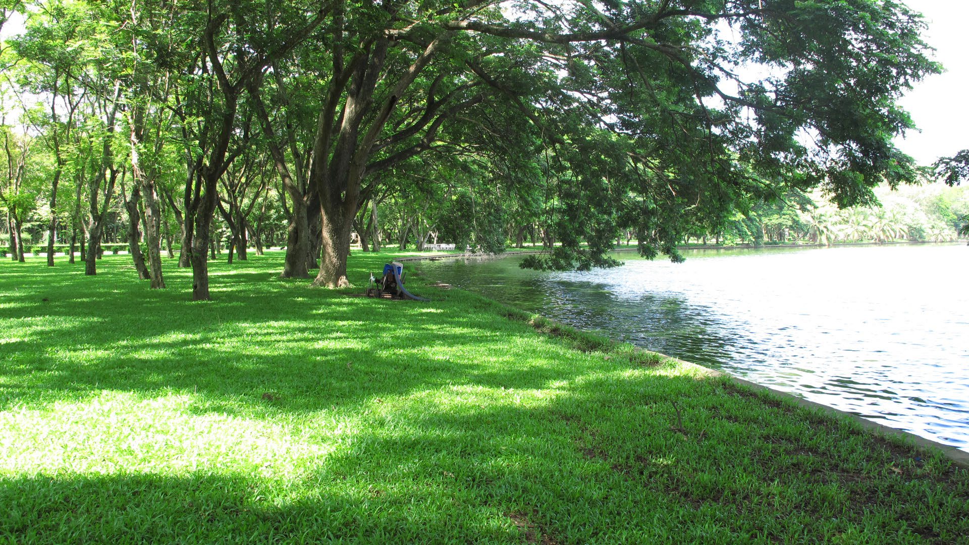 Park option 3  Bhuddamonton