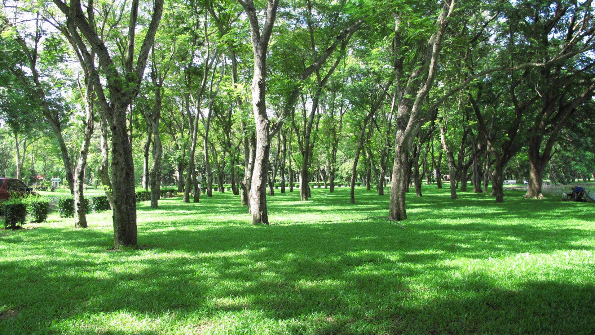 Park option 3  Bhuddamonton