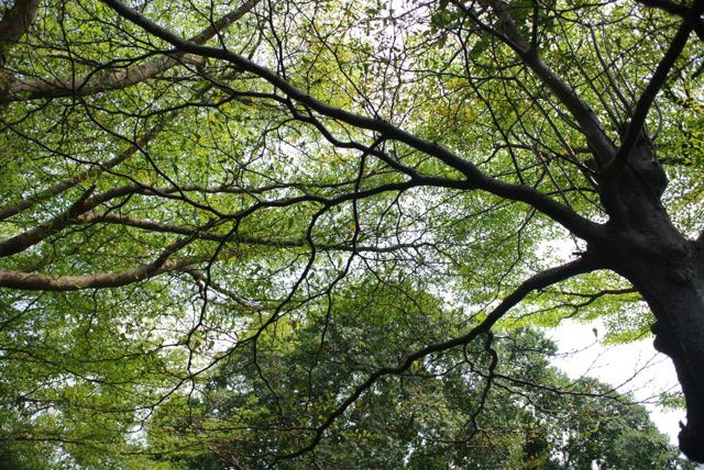 Park Raminthra