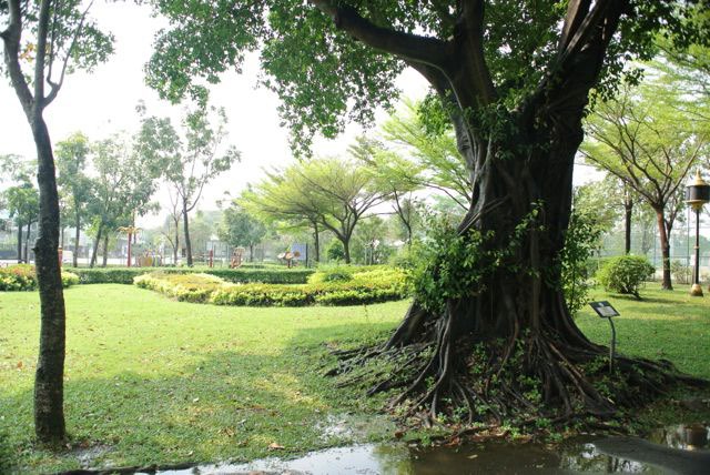 Park Raminthra