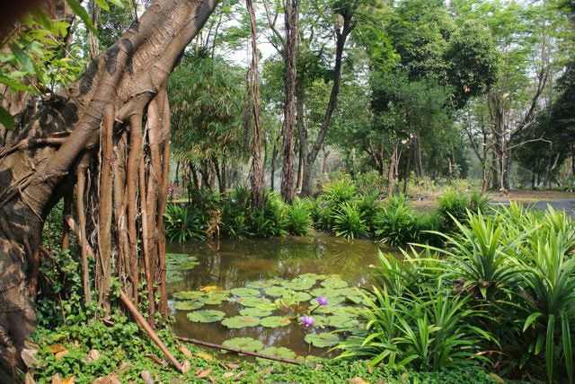 Park Raminthra
