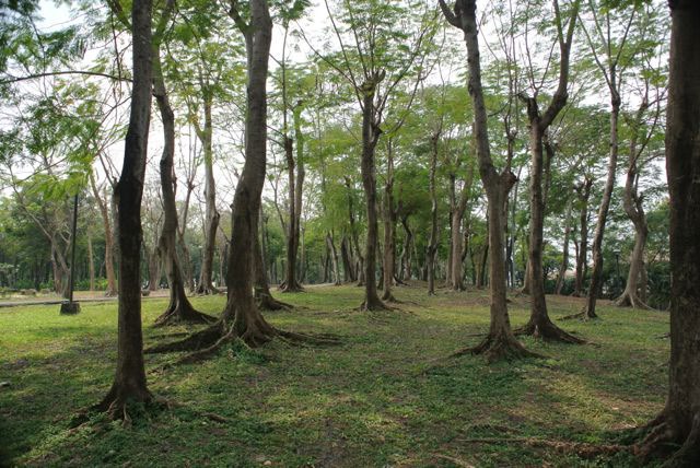 Park Raminthra