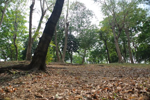 Park Raminthra