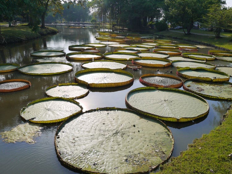 Rama 9 Park