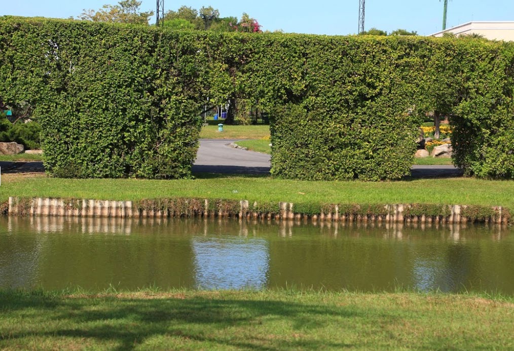 Rama 9 Park