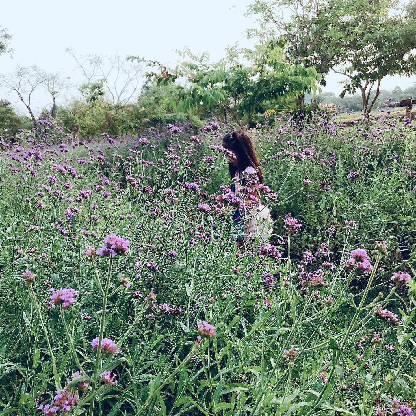 Rama 9 Park