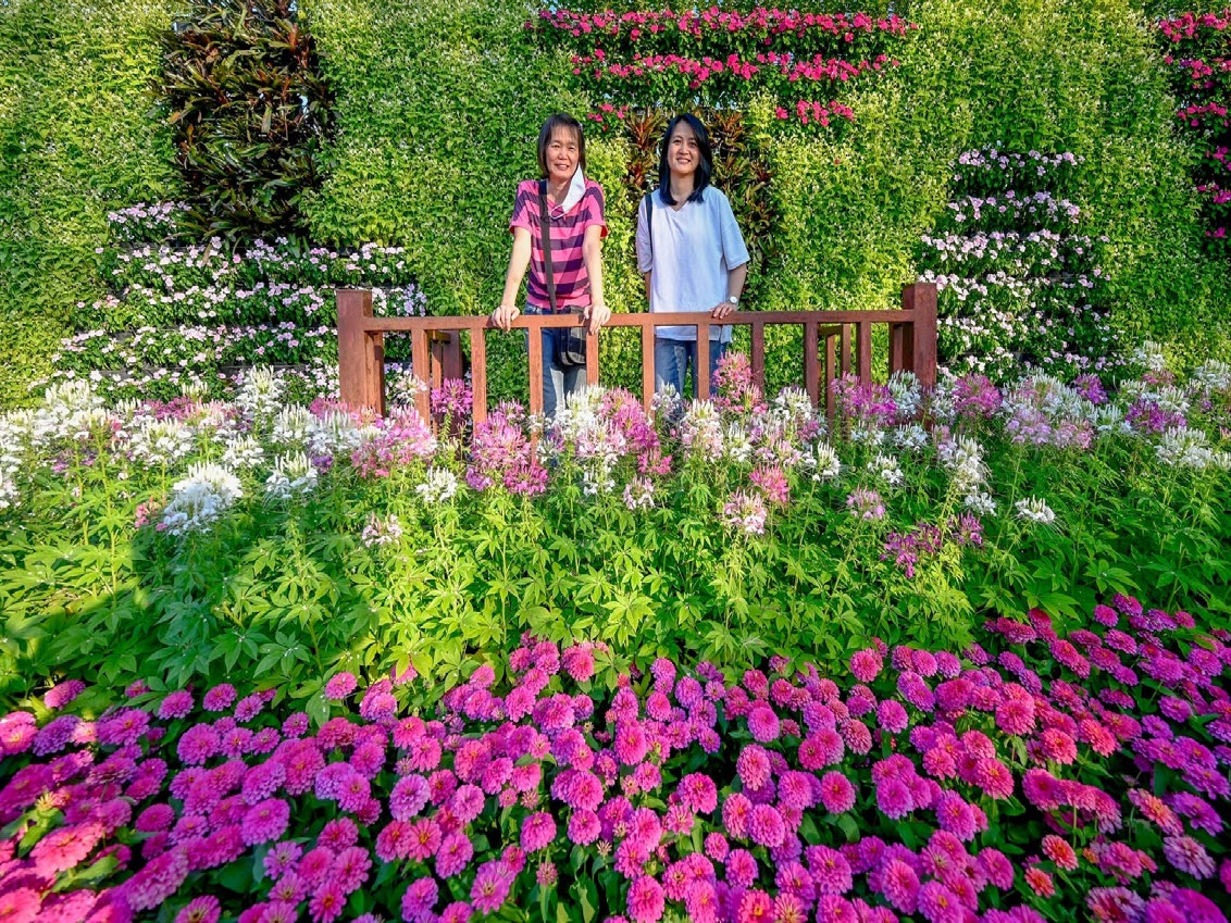 Rama 9 Park