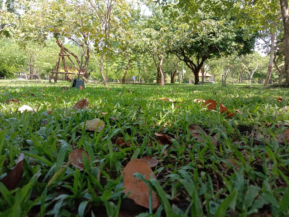 Rama 9 Park