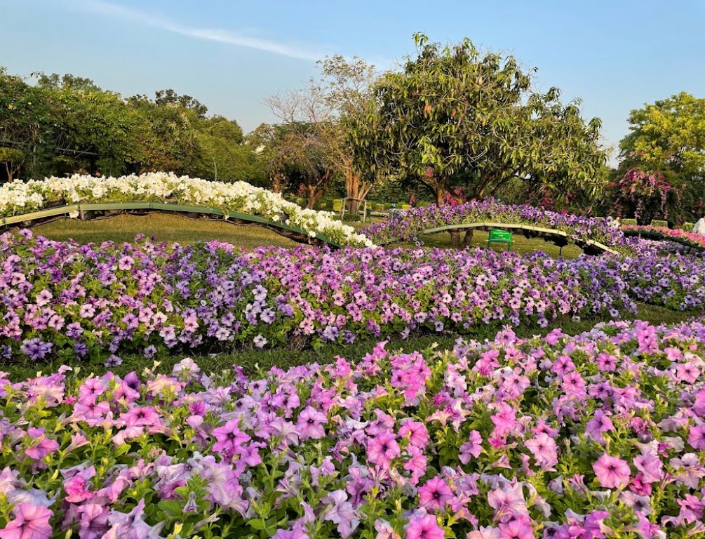 Rama 9 Park