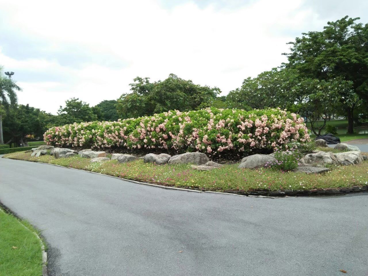 Rama 9 Park