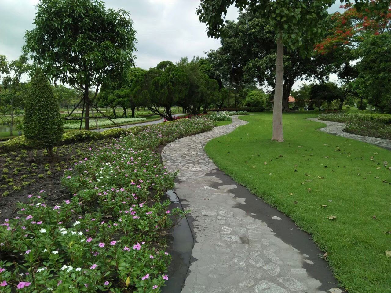 Rama 9 Park