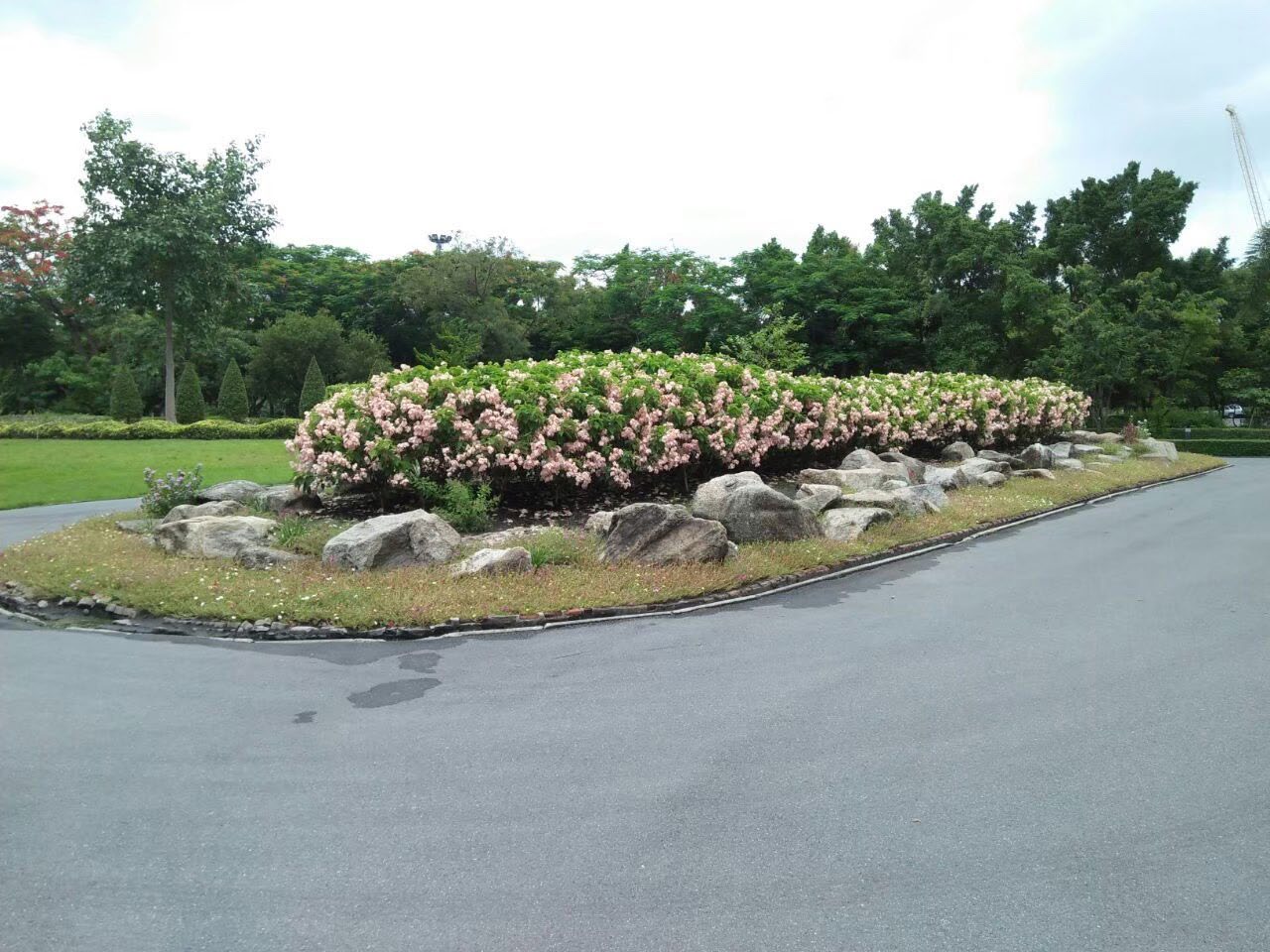 Rama 9 Park