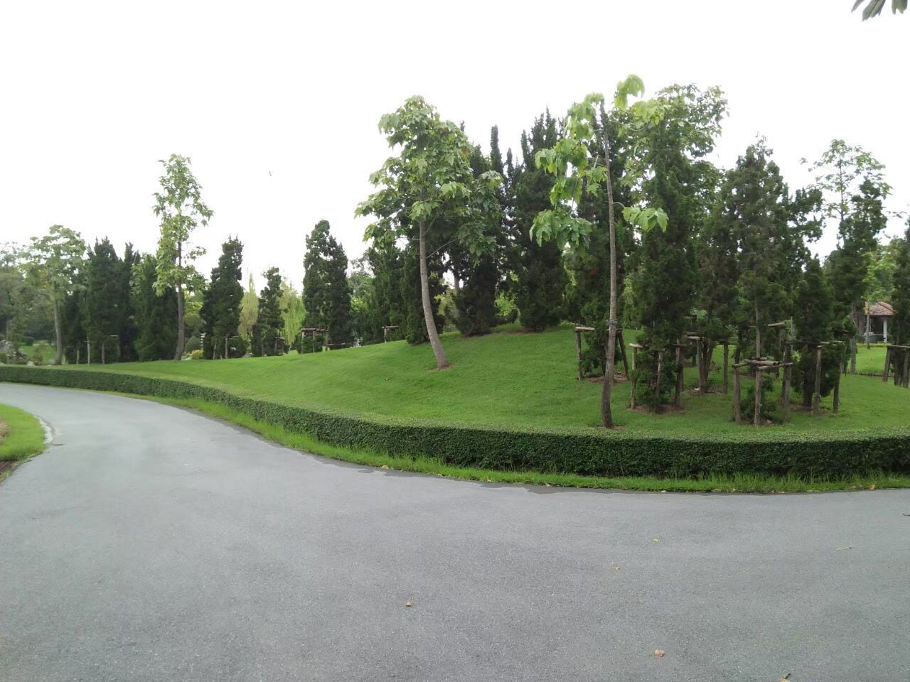 Rama 9 Park