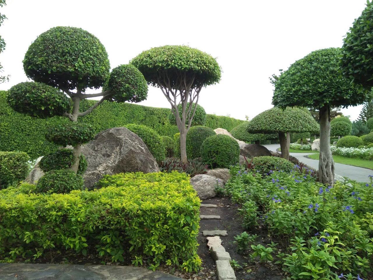 Rama 9 Park