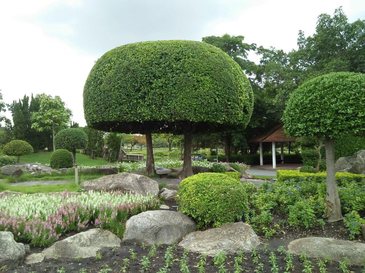 Rama 9 Park
