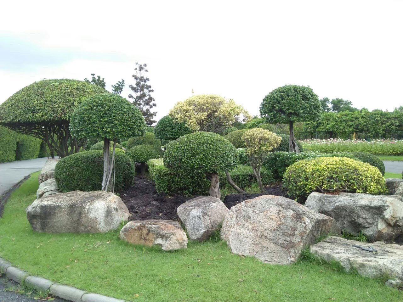 Rama 9 Park