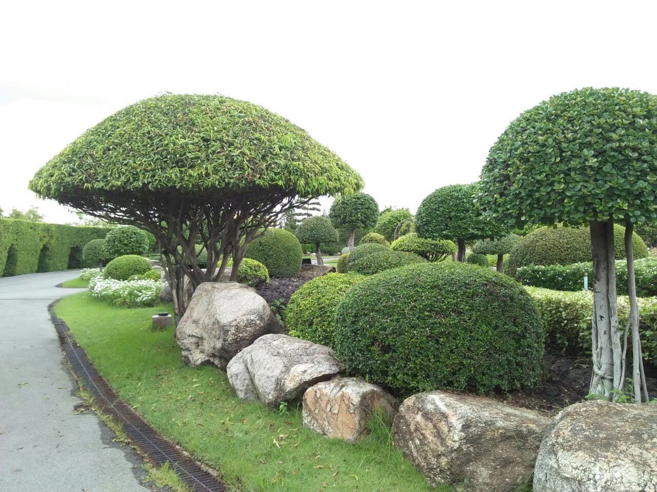 Rama 9 Park