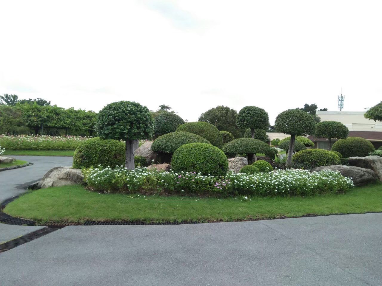 Rama 9 Park