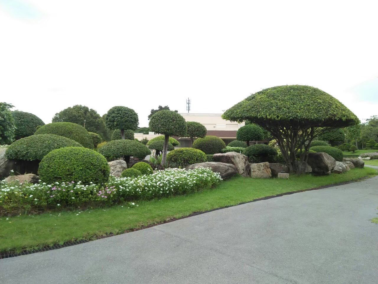 Rama 9 Park