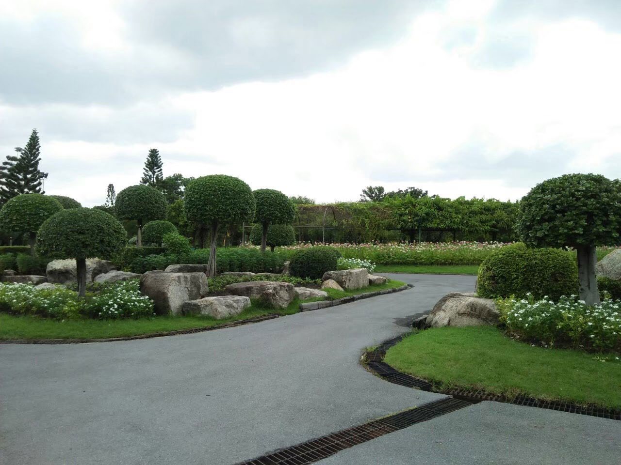 Rama 9 Park