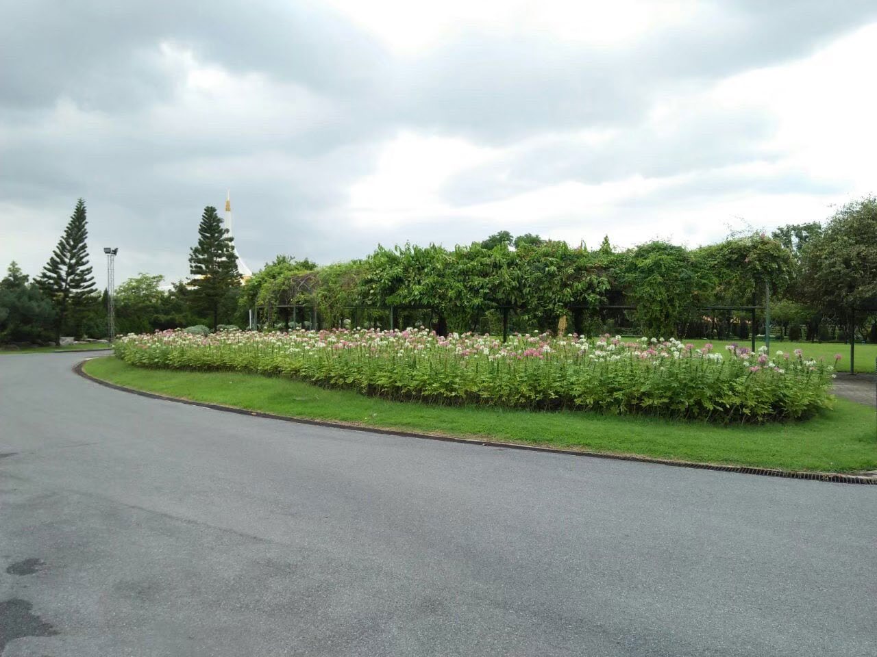 Rama 9 Park