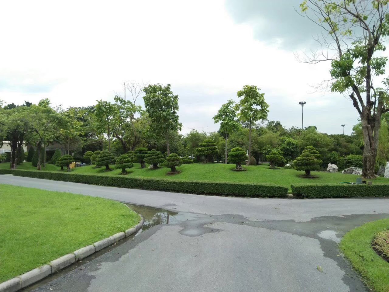Rama 9 Park