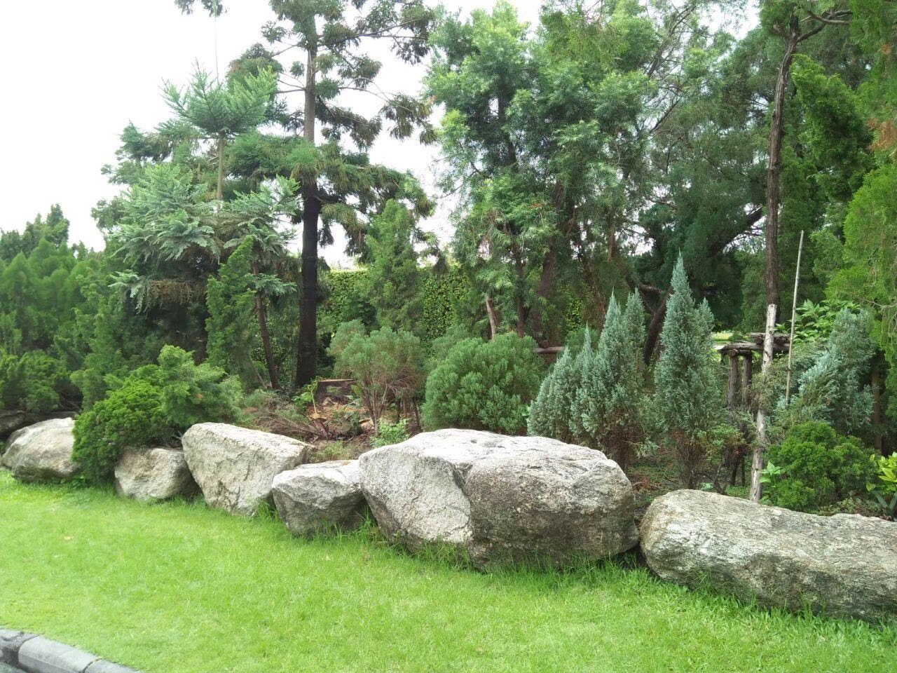 Rama 9 Park