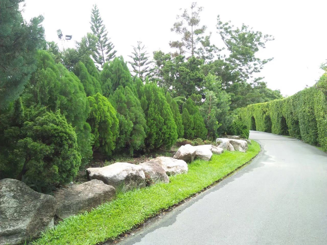 Rama 9 Park