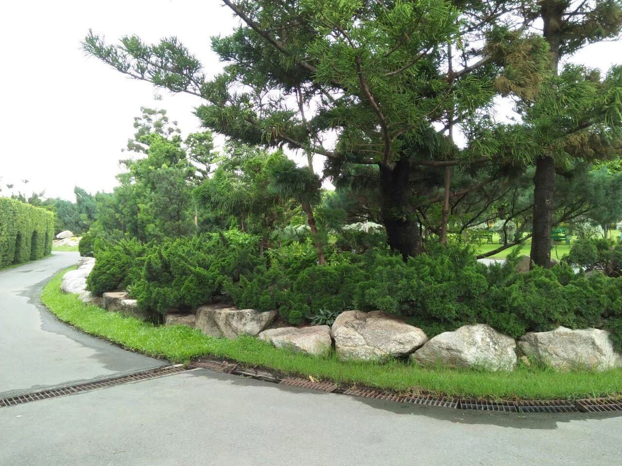 Rama 9 Park