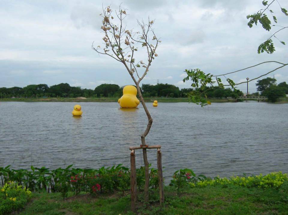 Wareepirom Park
